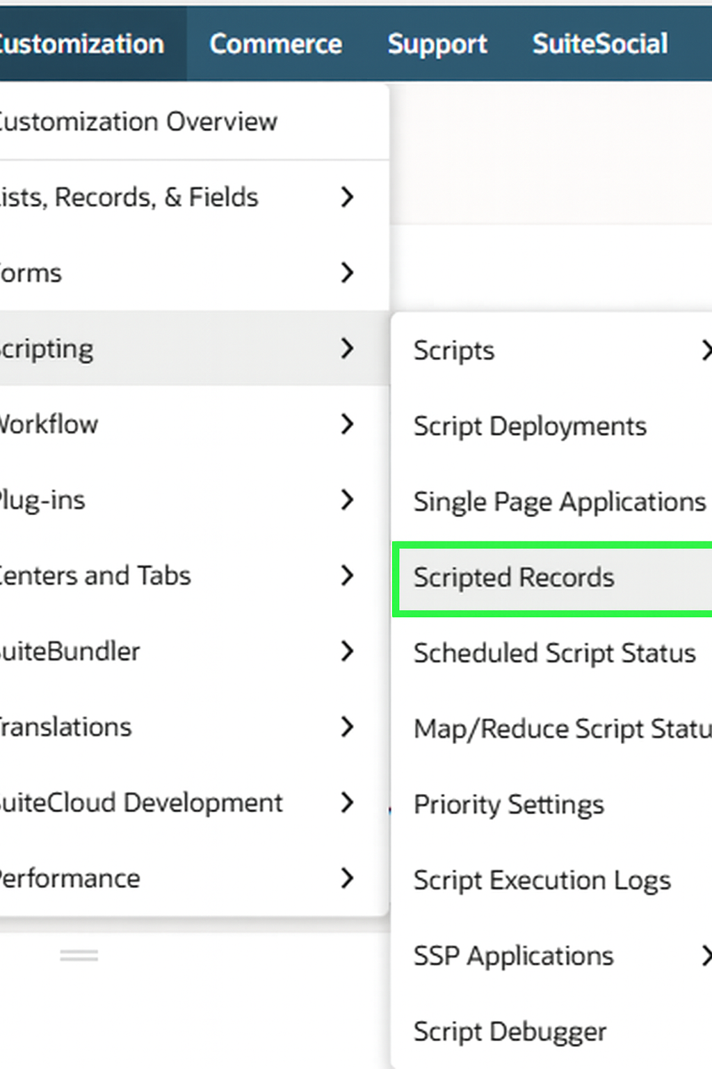 NetSuite SuiteApp - Dynamic Loading ()_22878689656988.png