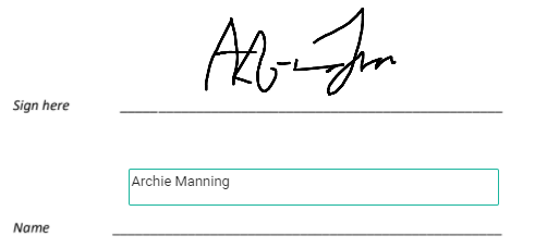 Electronic signatures ()_360020052057.png